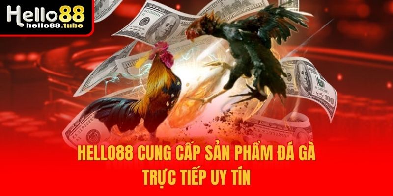 Hello88 54 Hello88 cung cấp sản phẩm đá gà trực tiếp uy tín
